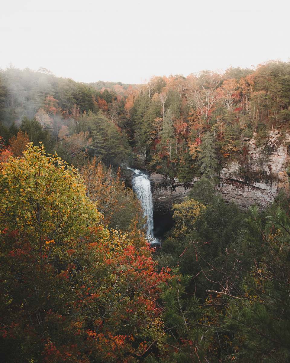 united states waterfalls between green and orange leafed trees plant